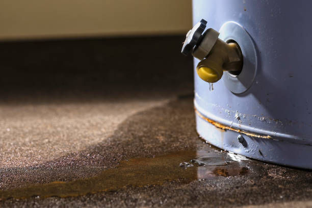 Best Water damage restoration near me  in Cane Savannah, SC
