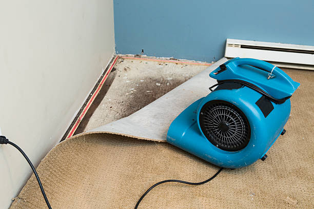 Trusted Cane Savannah, SC Water damage restoration Experts